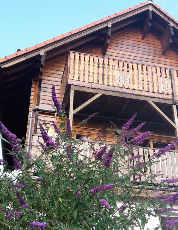 Ferienhaus Berg.Erleben Hilders エクステリア 写真